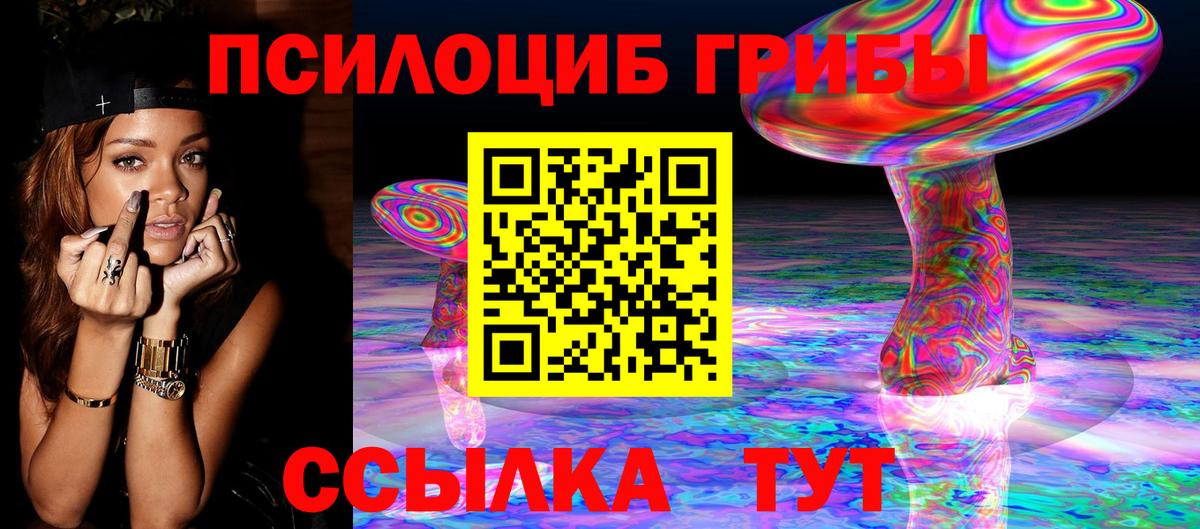 Псилоцибиновые грибы Psilocybe Барнаул