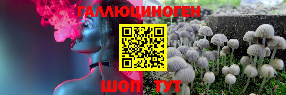 Галлюциногенные грибы мицелий  Галлюциногенные грибы MAGIC MUSHROOMS  Барнаул  Вход с VPN 