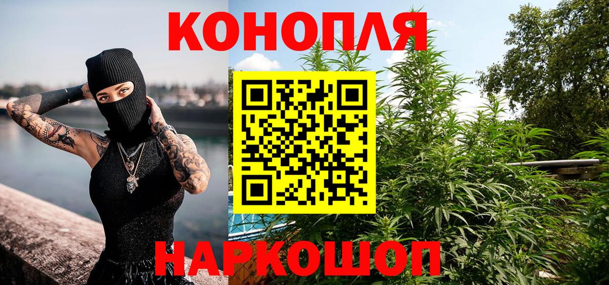Бошки Шишки семена Барнаул